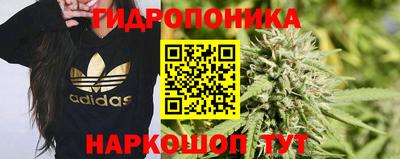 скорость Пугачёв