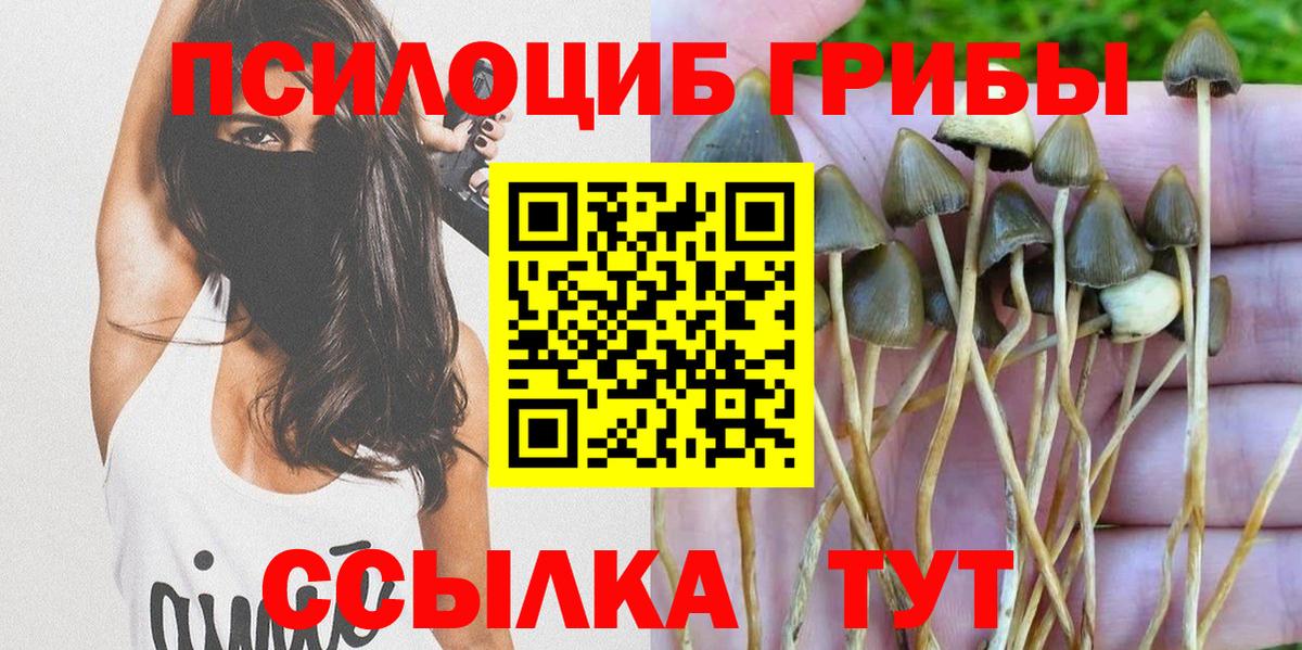 Смоленск  Псилоцибиновые грибы Cubensis  Вход с VPN 