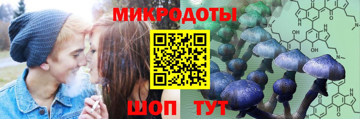 Псилоцибиновые грибы Cubensis Смоленск