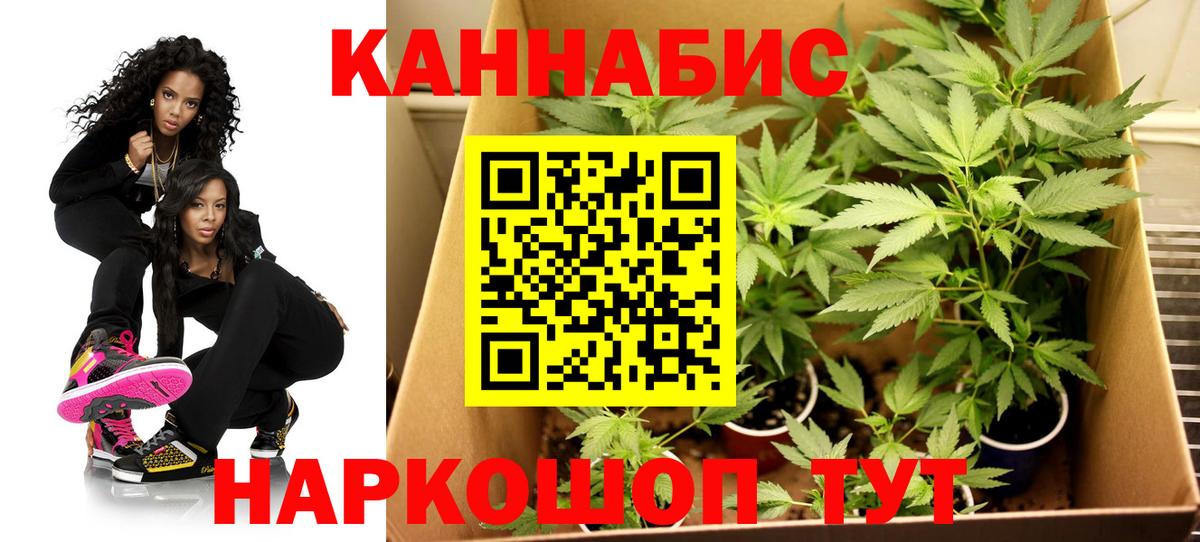 Смоленск  Конопля AK-47  Канабис марихуана  Конопля Ganja  Вход с VPN 